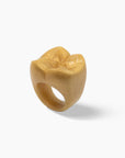 Dulce de leche Ring 🍮 / VORBESTELLUNG